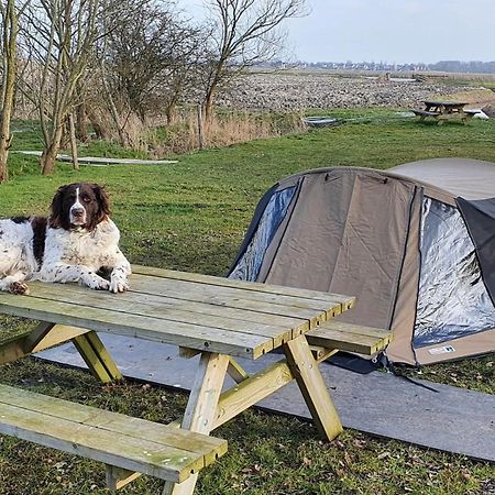 Basic 2P Tent Sotterum Hotel Cornwerd ภายนอก รูปภาพ