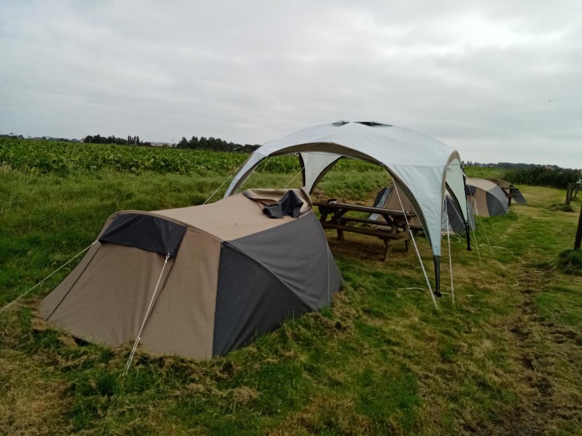 Basic 2P Tent Sotterum Hotel Cornwerd ภายนอก รูปภาพ